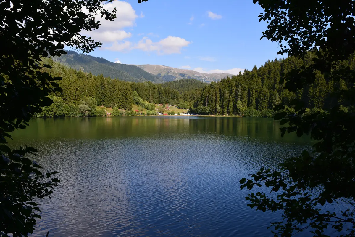 Artvin şehir görünümü